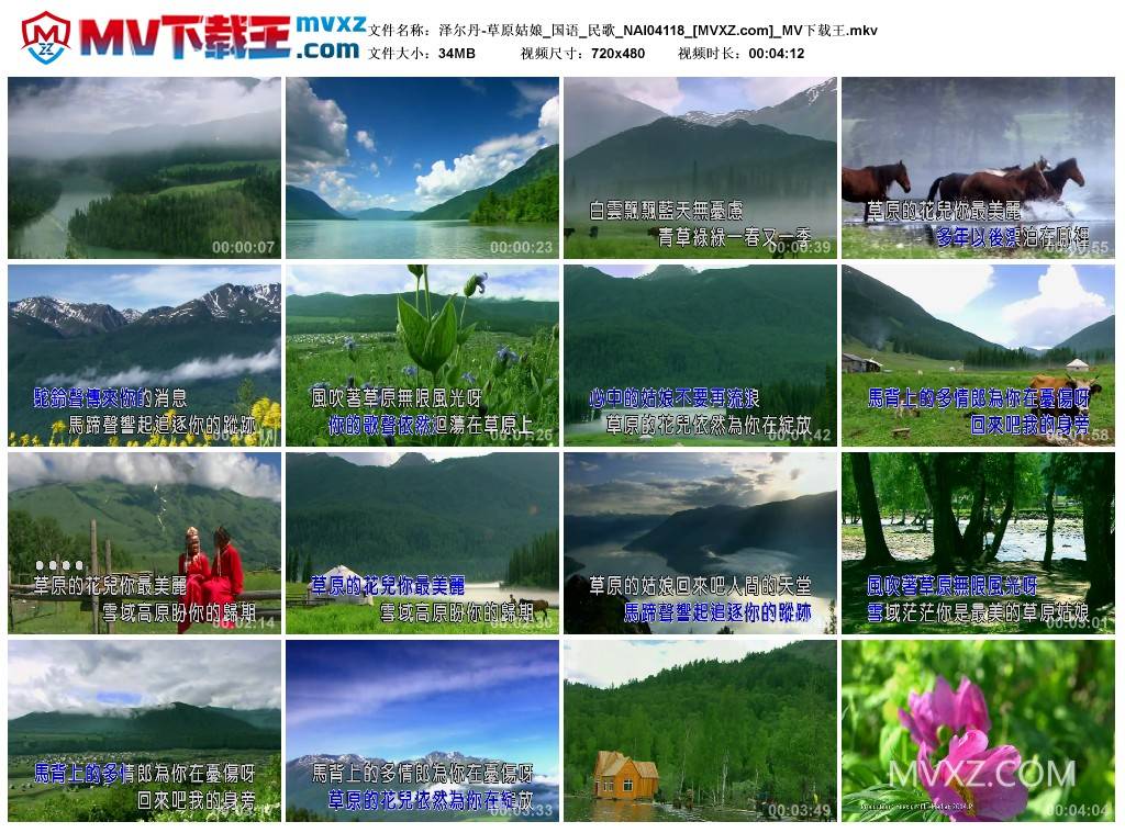 泽尔丹-草原姑娘_国语_民歌_NAI04118